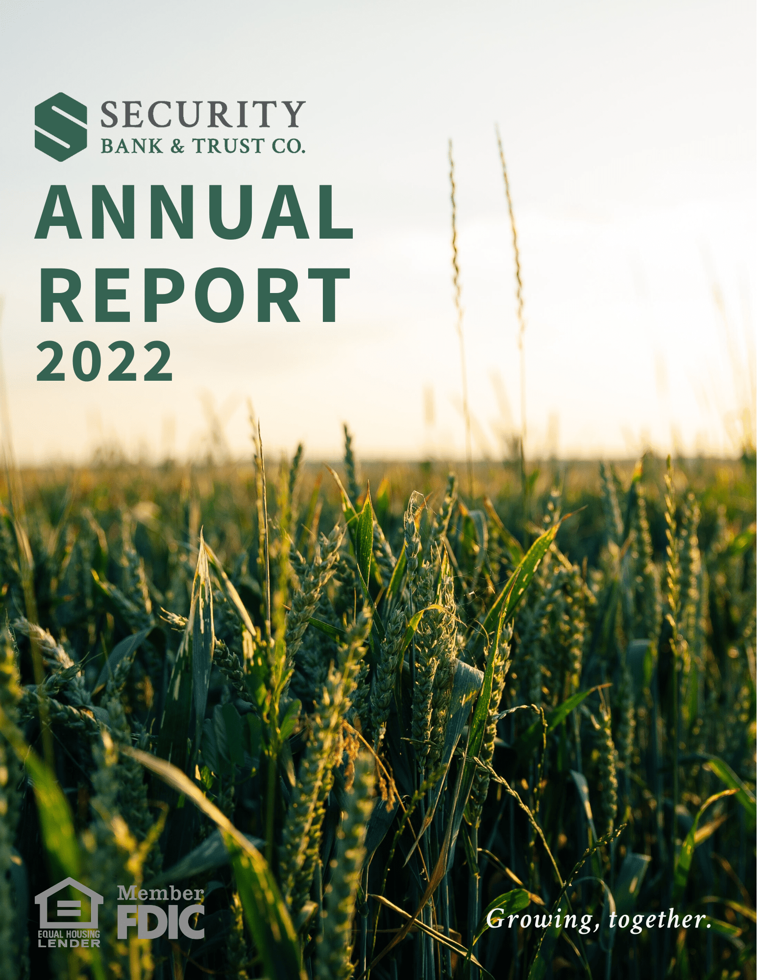 SBTC-2022-Annual-Report-1