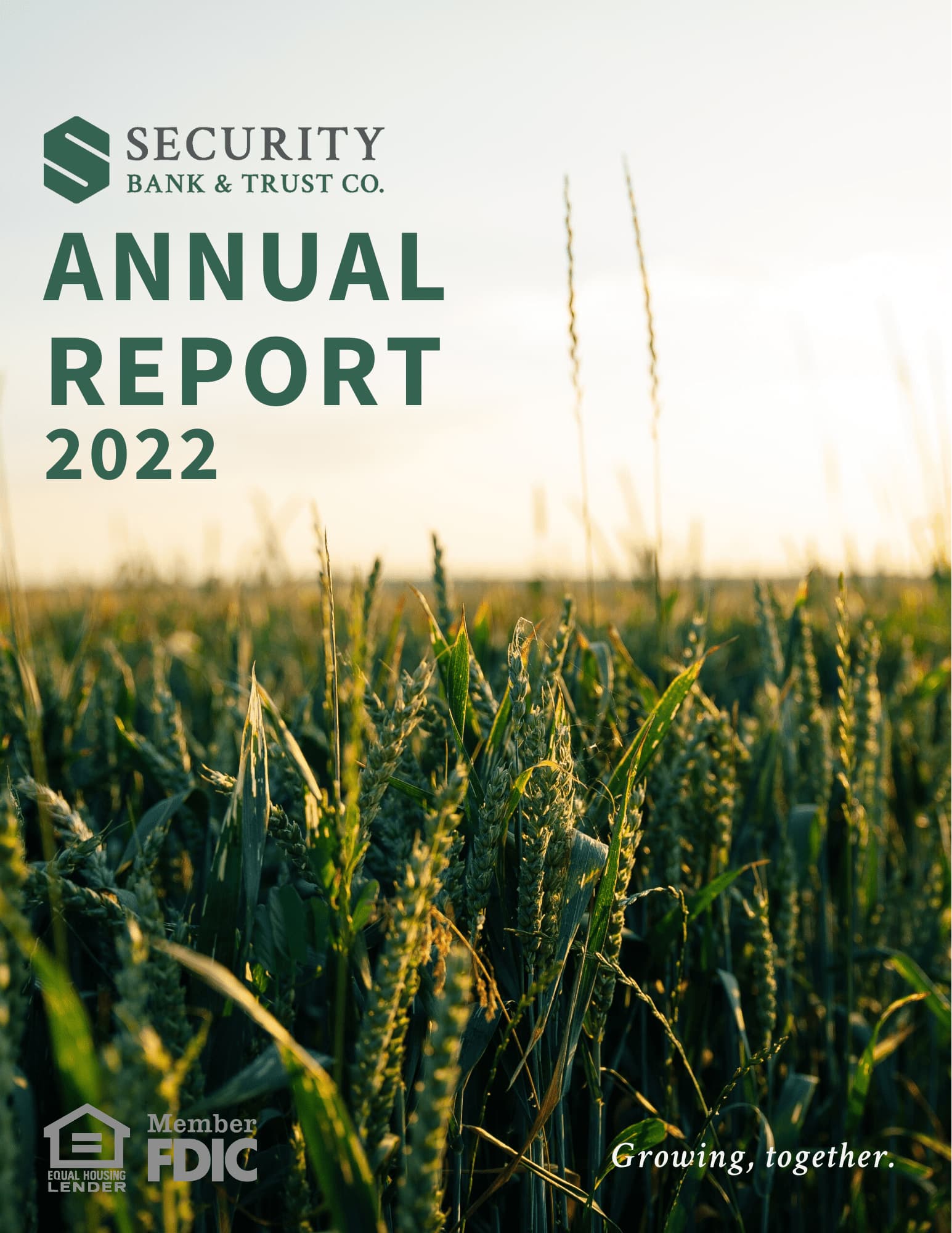 SBTC-2022-Annual-Report-Cover Page